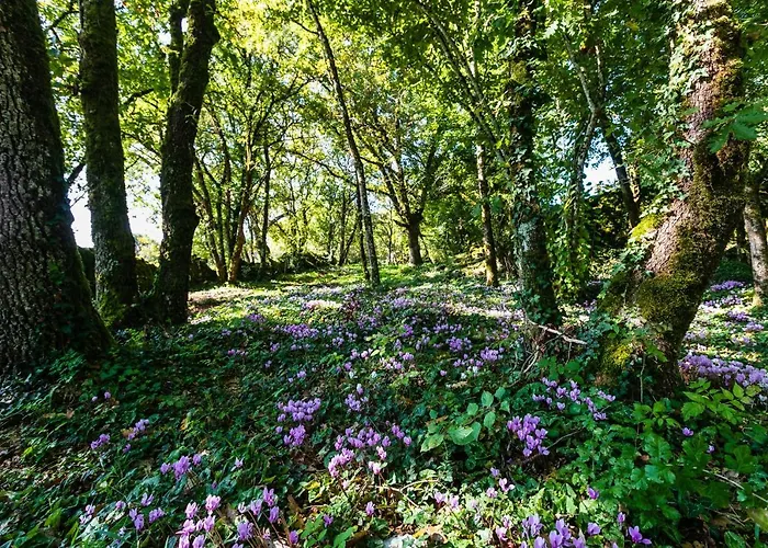 Les Enclos Secrets Livernon