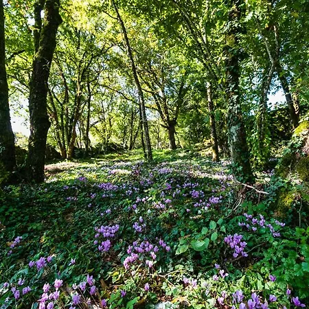 Les Enclos Secrets Livernon